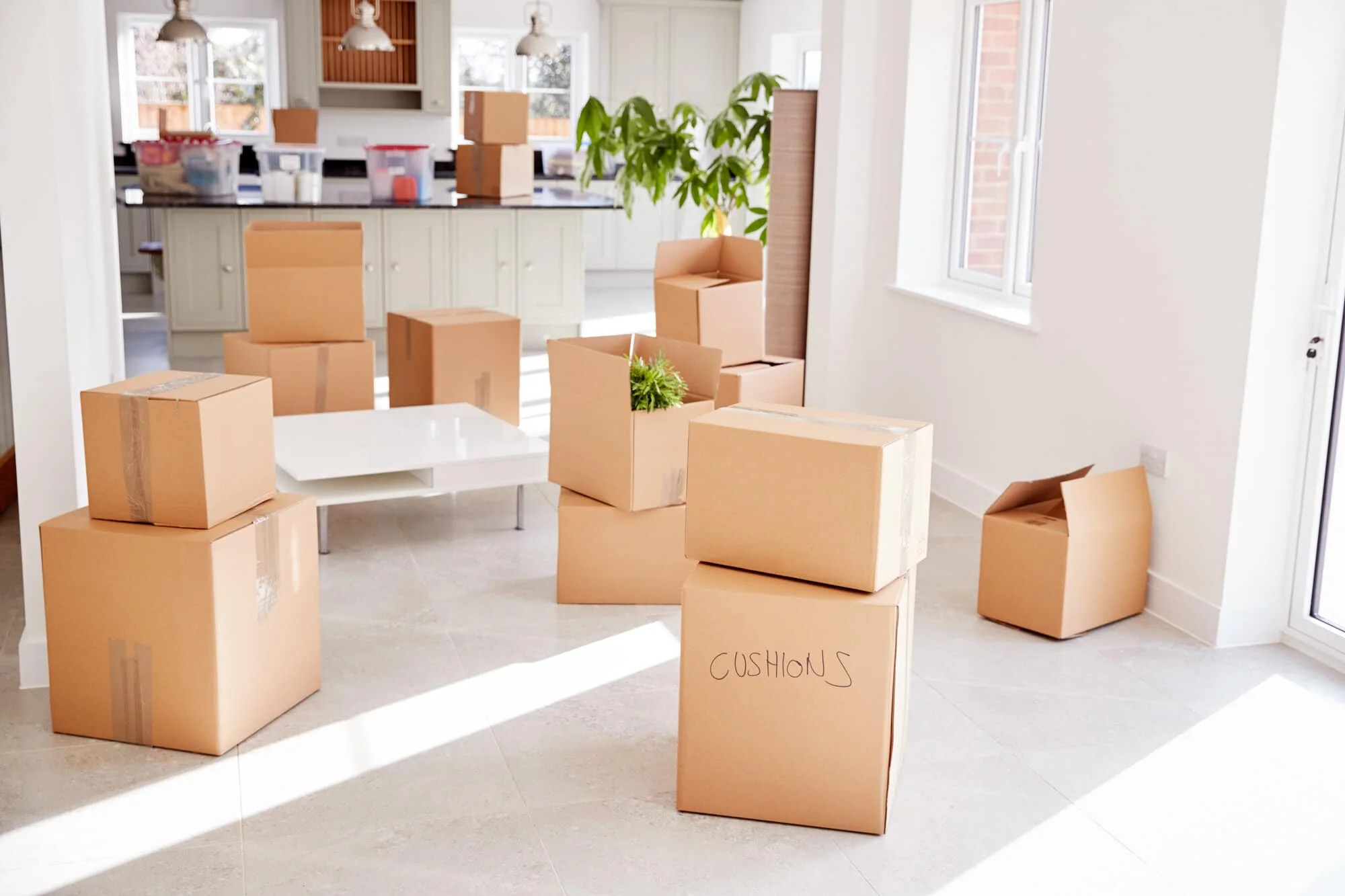 Finding the Perfect Move: Local Moving Companies Near You!